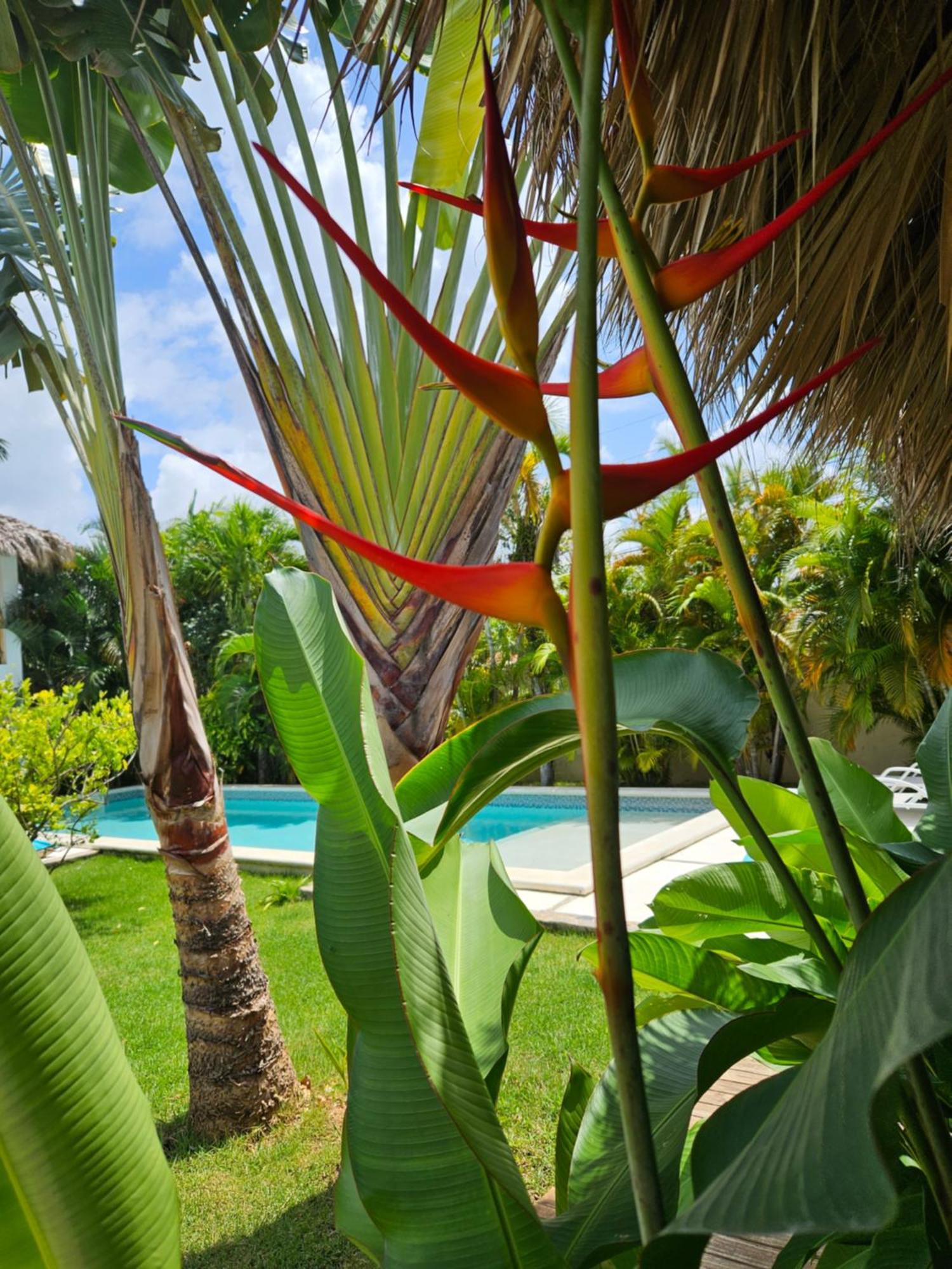 Casa Shambala B&B Las Terrenas Exteriér fotografie