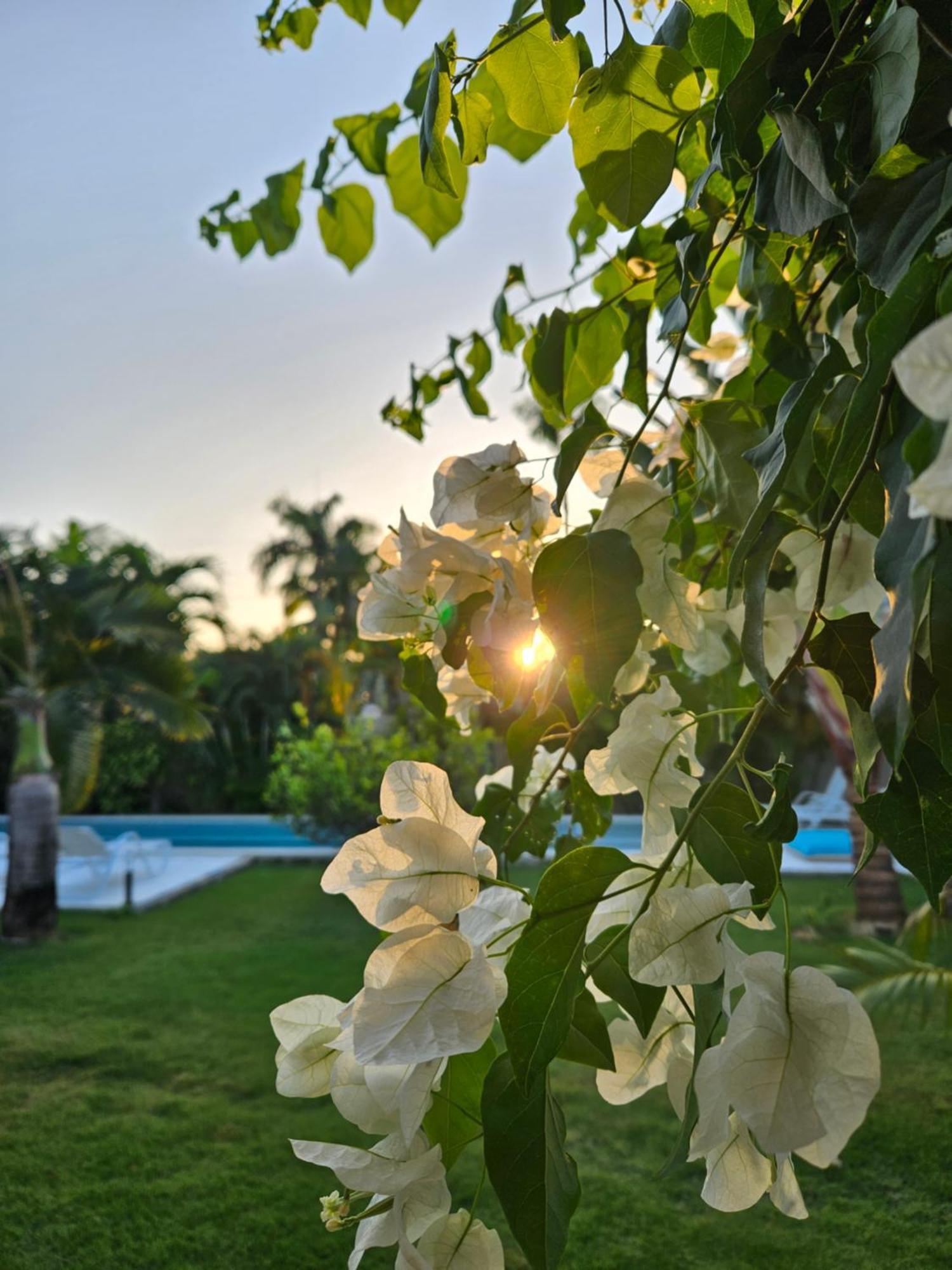 Casa Shambala B&B Las Terrenas Exteriér fotografie